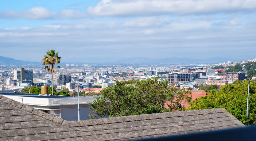 Photo of Signal Hill Splendour