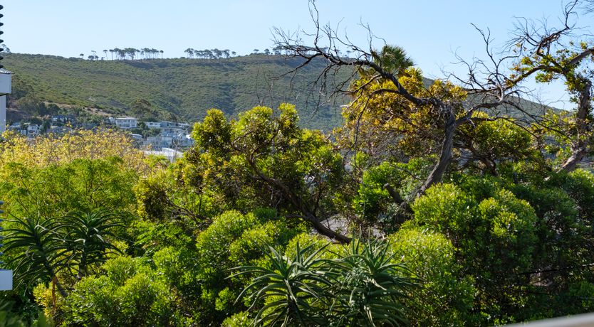 Photo of Signal Hill Splendour