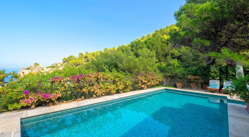 Photo of Spirit of Light