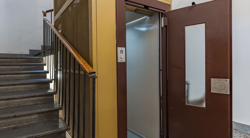 Photo of A Rare Flower