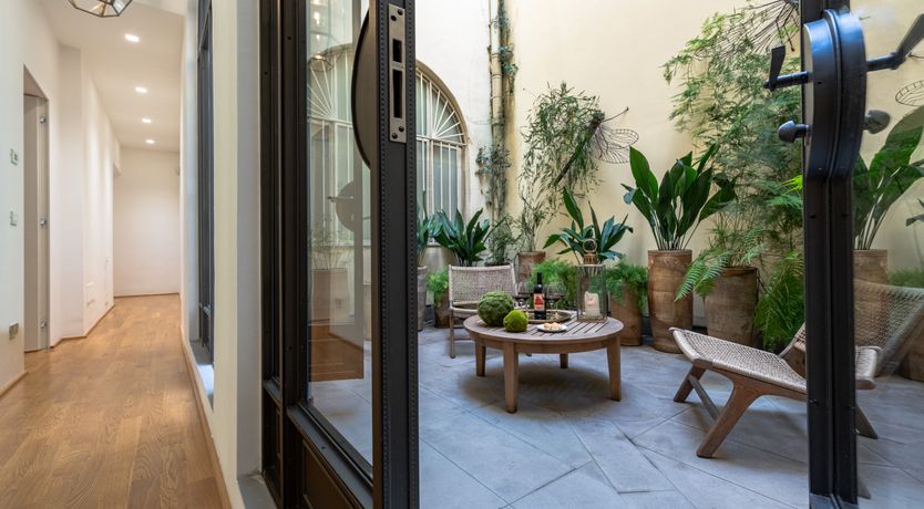 Photo of A Rare Flower