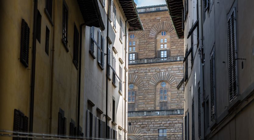 Photo of A Rare Flower