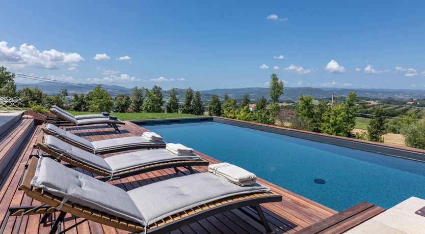 Photo of Olive & Sunflower