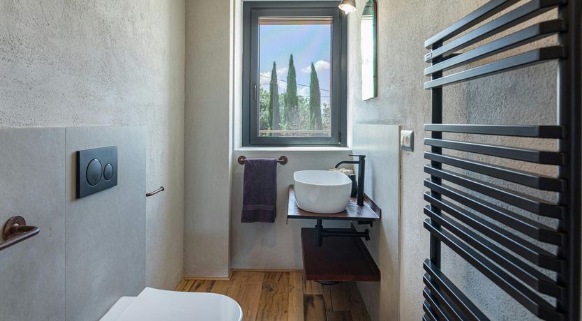 Photo of Olive & Sunflower