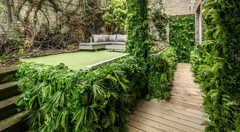 Photo of Hope & Beauty