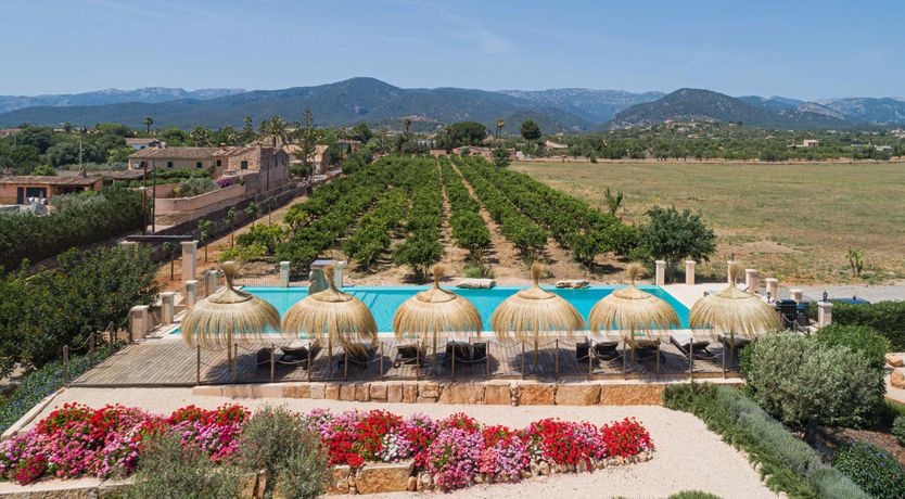 Photo of Mediterranean Splendour