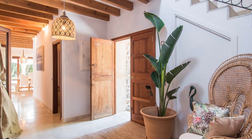 Photo of Balearic Moon