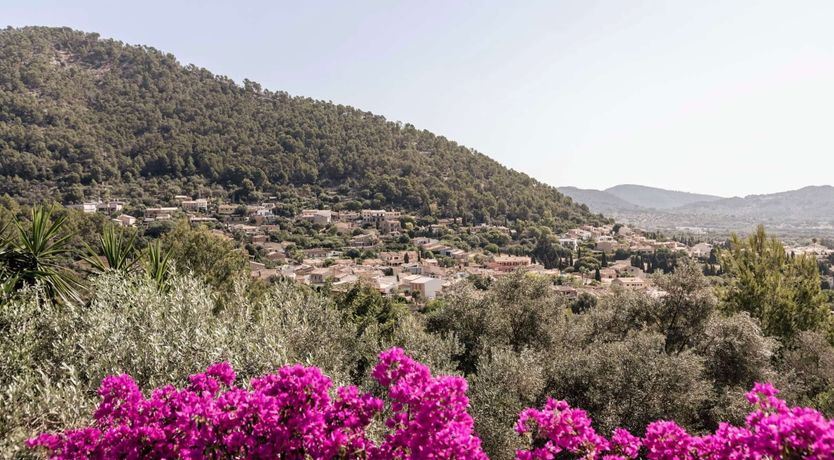 Photo of Alaró Oasis