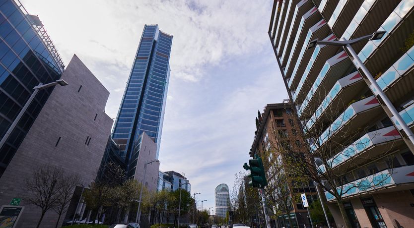 Photo of The Milano Rose