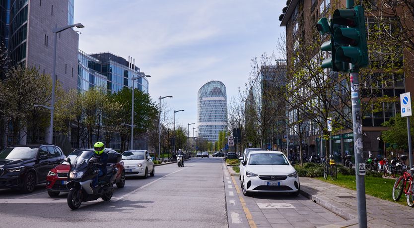 Photo of The Milano Rose