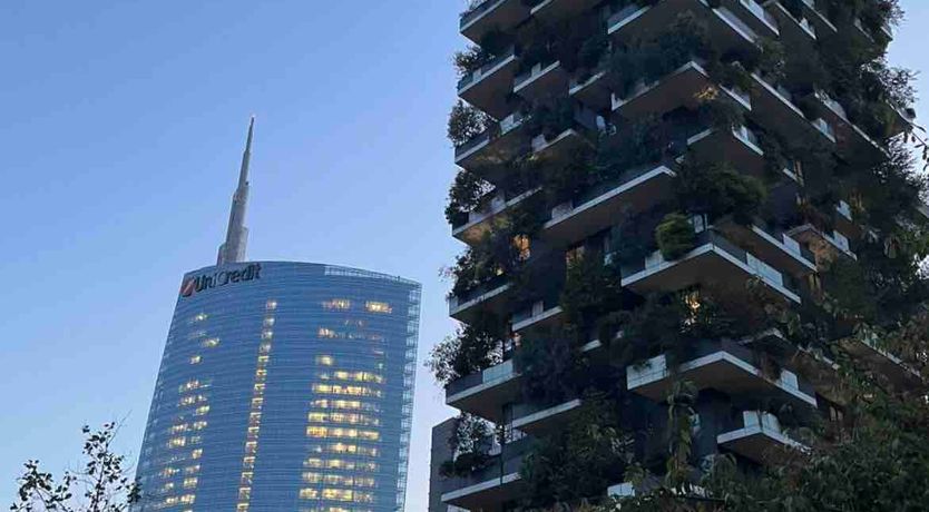 Photo of Chic City Life