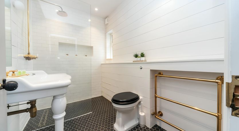 Photo of The Hummingbirds