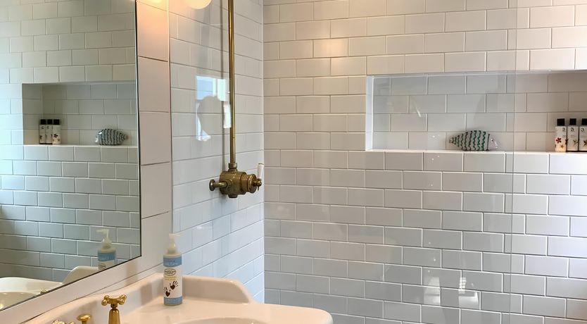 Photo of The Hummingbirds