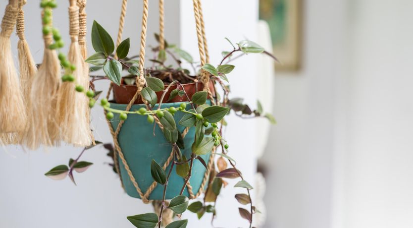 Photo of Eastside Haven