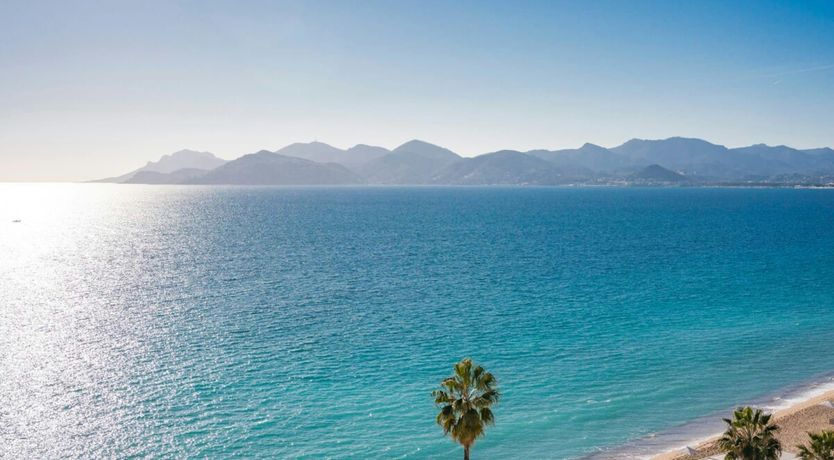 Photo of The Blue Lookout