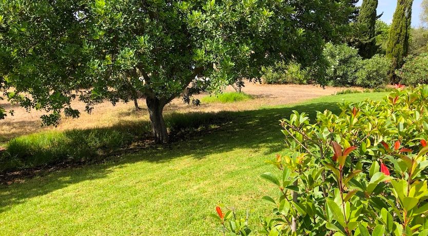 Photo of A Taste of Mediterranean Sun