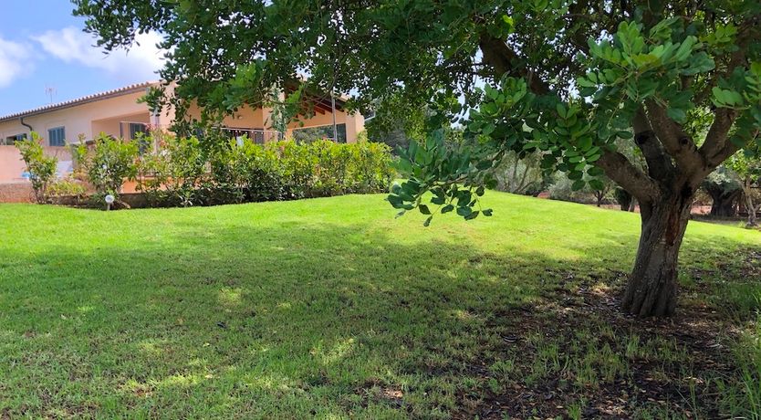 Photo of A Taste of Mediterranean Sun