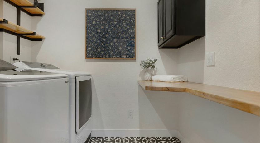 Photo of California Dreamer