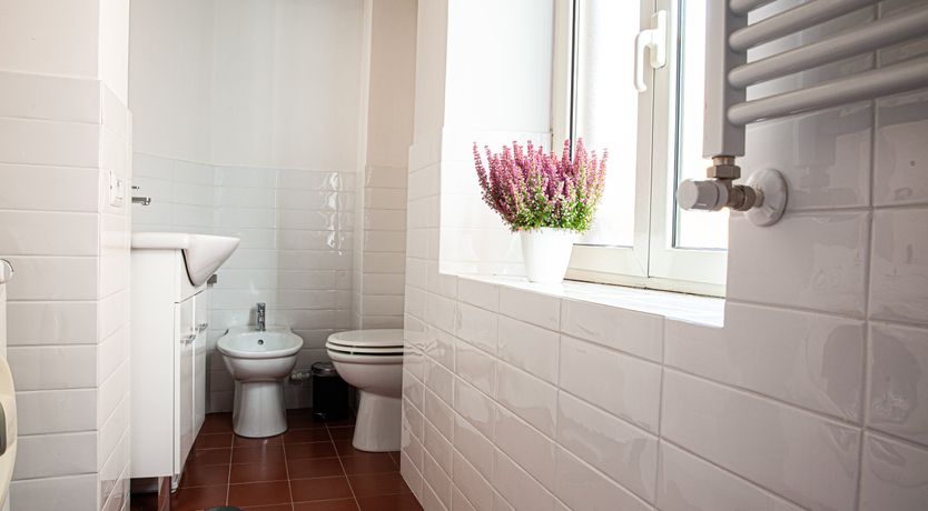 Photo of Flower of Rome