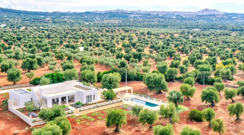 Photo of Peace of Sky