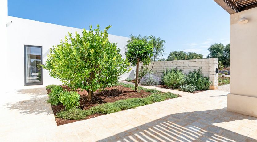 Photo of Peace of Sky