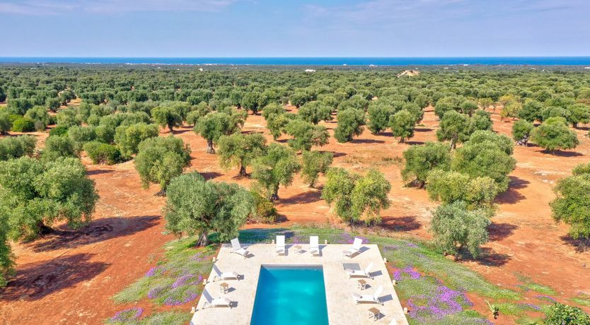 Photo of Peace of Sky