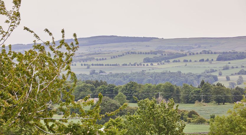 Photo of Modern Bliss