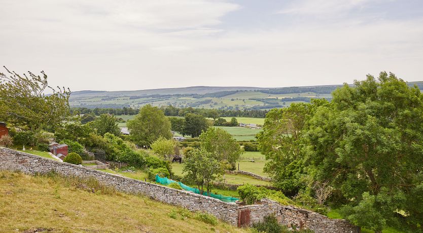 Photo of Modern Bliss