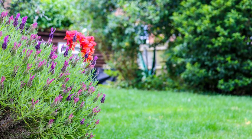 Photo of Grosvenor Abode