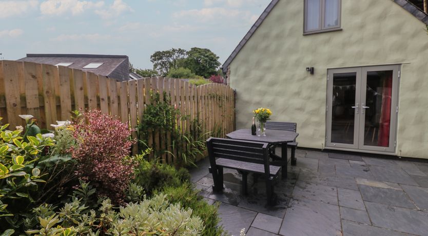 Photo of Little Willow