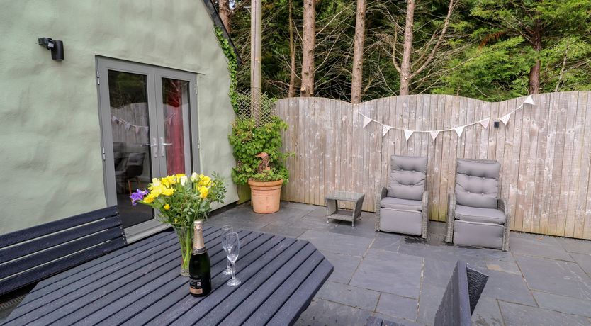 Photo of Little Willow