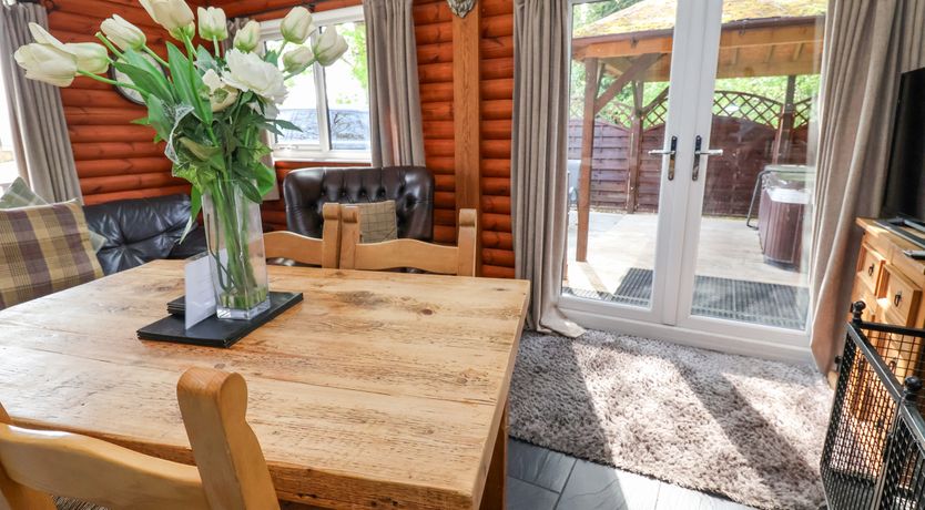 Photo of The Blacktail