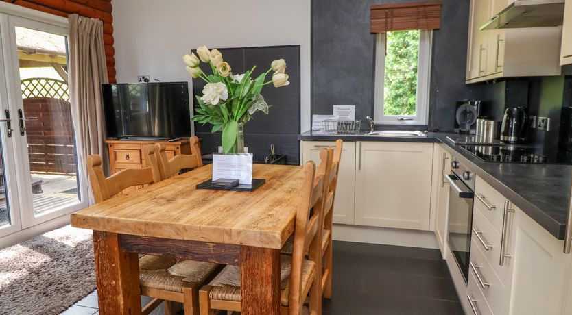 Photo of The Blacktail