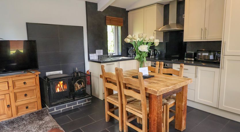 Photo of The Blacktail