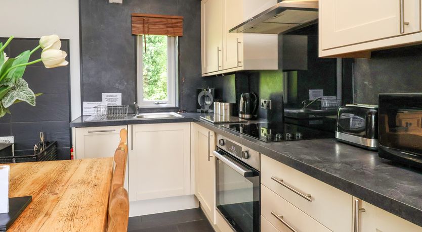 Photo of The Blacktail