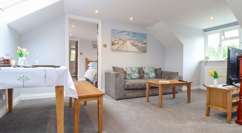 Photo of Squirrels Leap