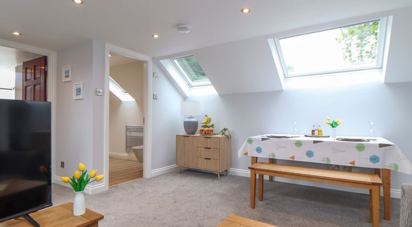 Photo of Squirrels Leap