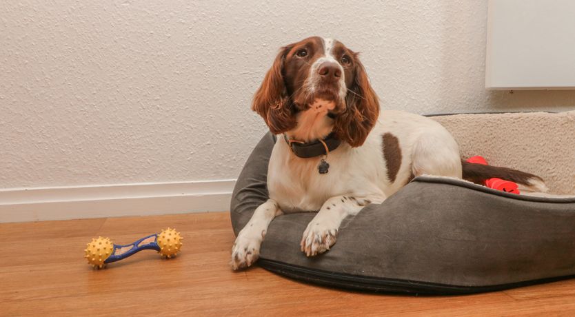 Photo of Number 24 The Park