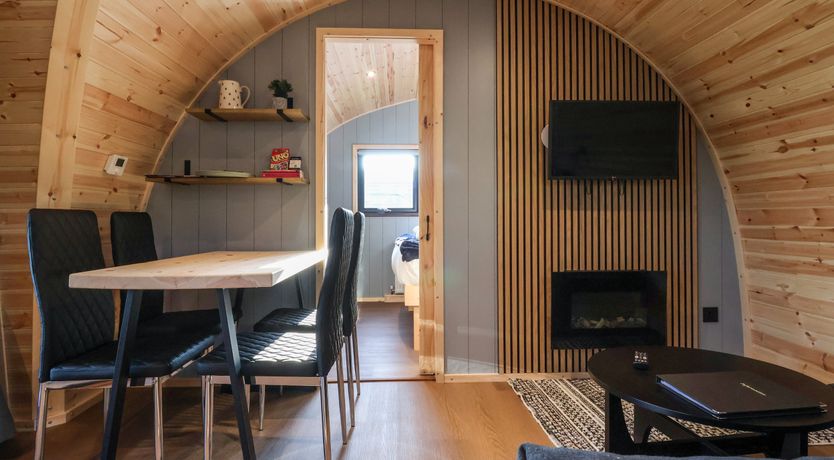 Photo of Oyster Catcher