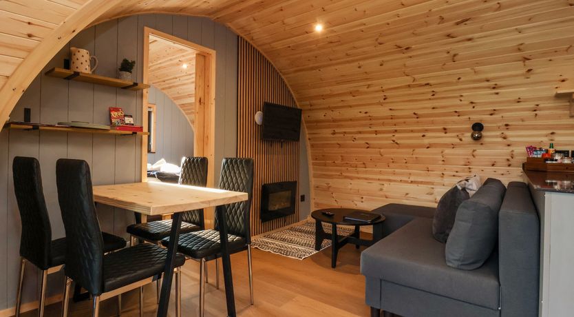 Photo of Oyster Catcher