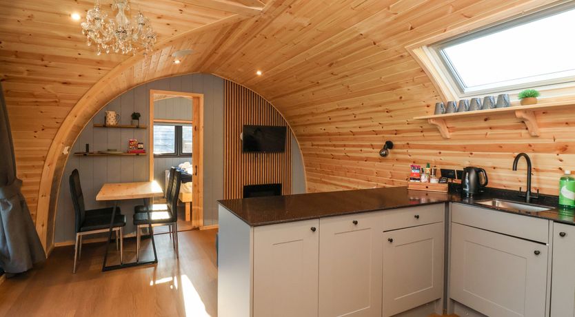 Photo of Oyster Catcher