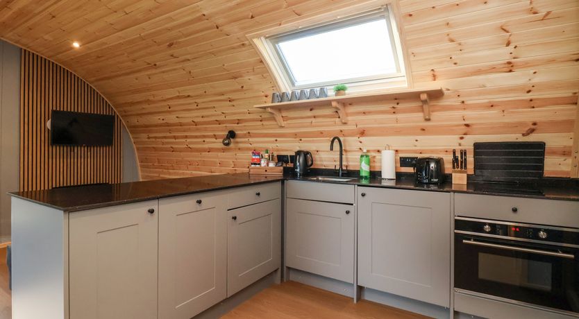 Photo of Oyster Catcher