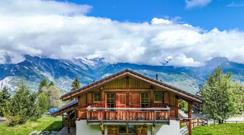 Photo of Gingembre 12