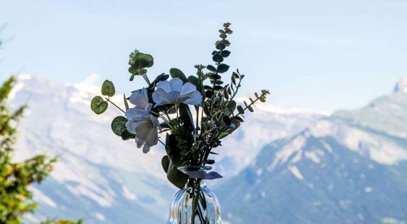 Photo of Hauts de Nendaz A F3 Apartment 9