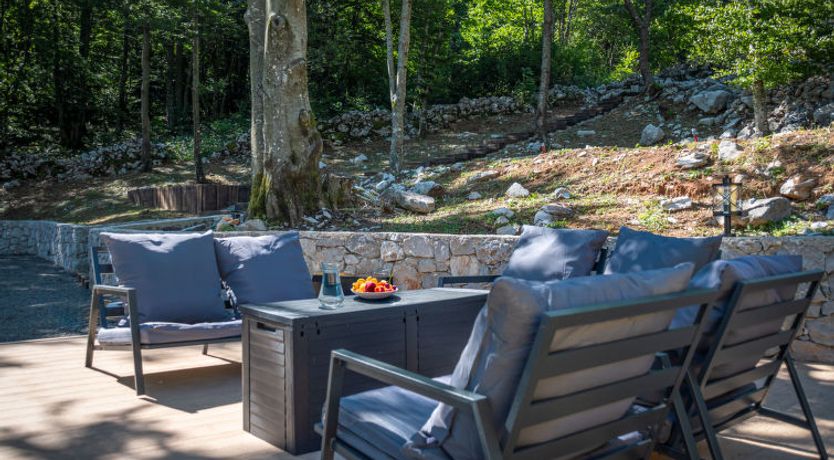 Photo of Didova suma 2