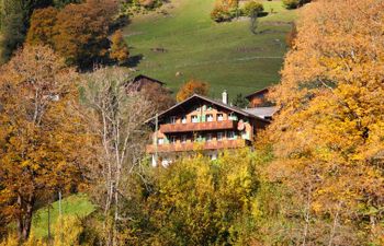 Chalet Auf dem Vogelstein Apartment 2 Holiday Home