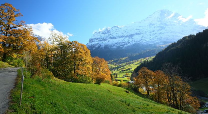 Photo of Chalet Auf dem Vogelstein Apartment 2