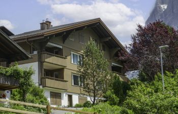 Chalet Almis 5 Holiday Home