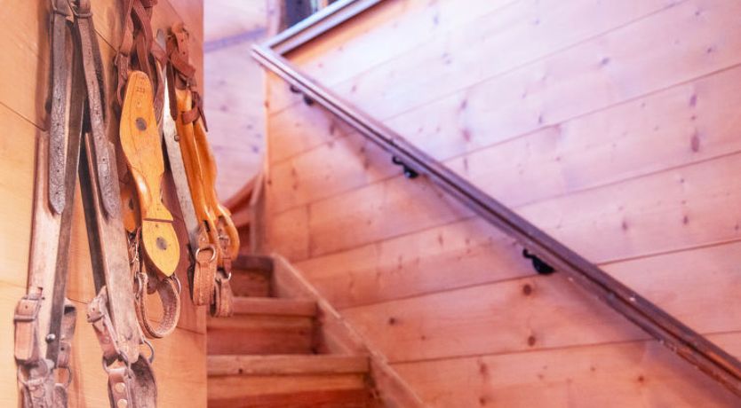 Photo of Chalet Tetras