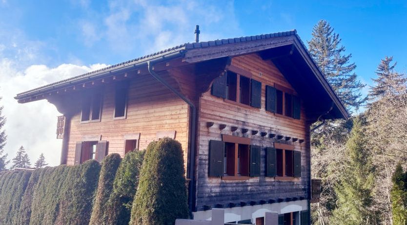 Photo of Chalet Tetras